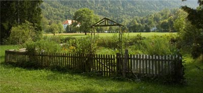 Oekologie Im Garten