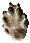 Wieselspur