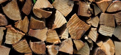 Foto Holzscheide